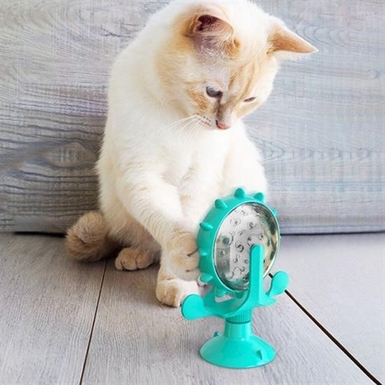 SANEC® Vantuzlu Zilli İnteraktif Dönebilen Mama Kaplı Renkli Eğlenceli Eğitici Kedi Oyuncağı SANEC® Vantuzlu Zilli İnteraktif Dönebilen Mama Kaplı Renkli Eğlenceli Eğitici Kedi Oyuncağı